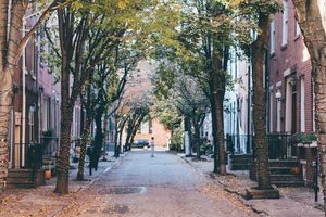A neighborhood street in Philadelphia, lined with trees wrapped in string lights